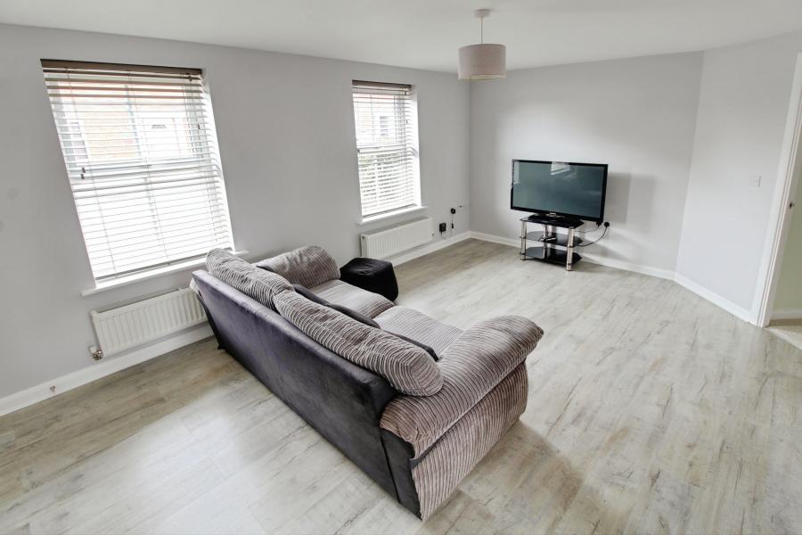 Flat Verde Close in Eye