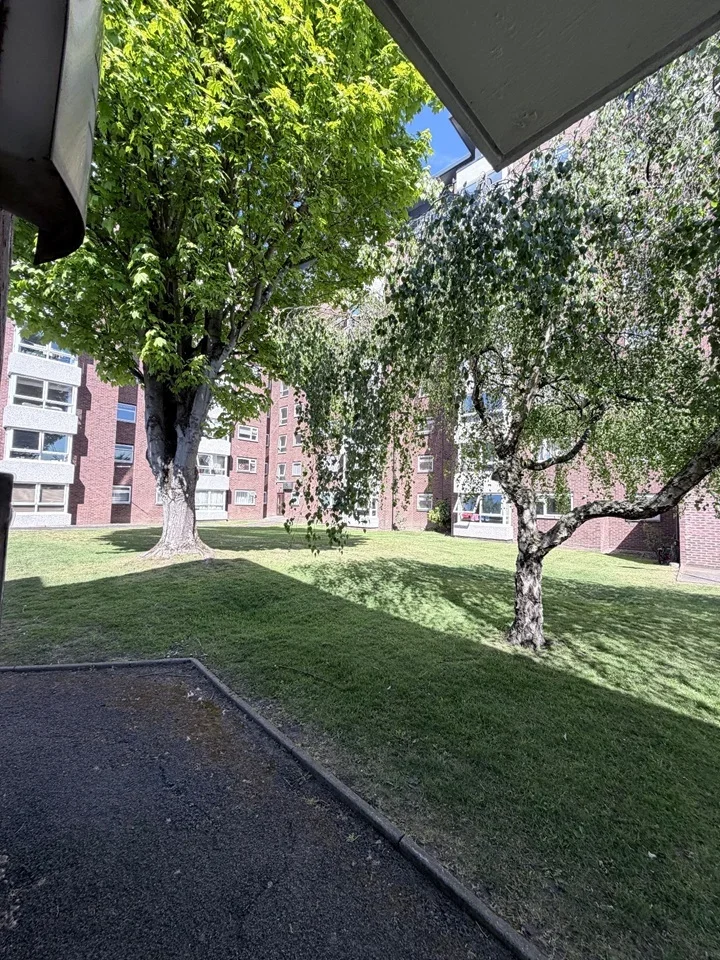 Room Brampton Grove in Greater London