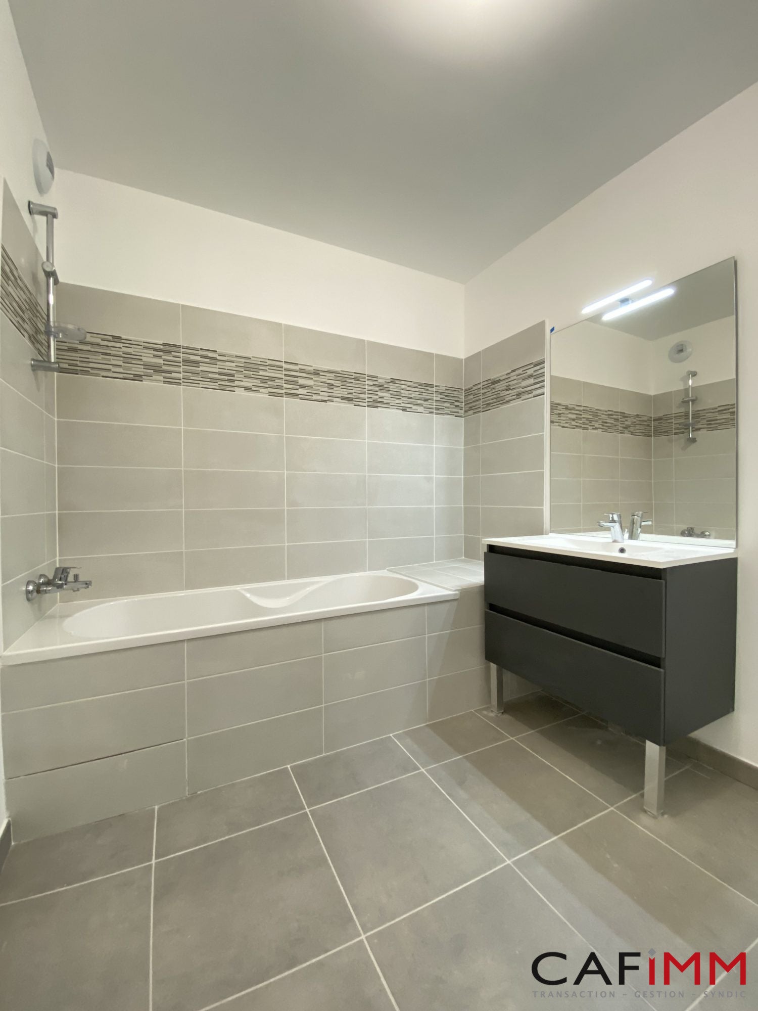 Flat Rue Émile Decorps in Villeurbanne