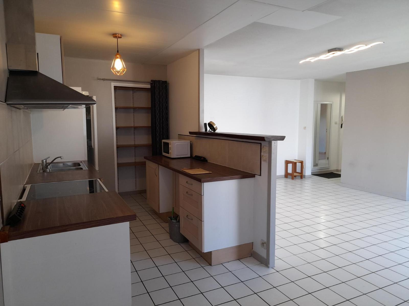 Appartement Rue Docteur Greffier à Grenoble