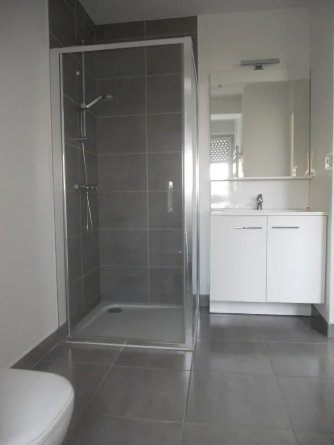 Appartement Allée Robert Théophile Debus à Schiltigheim