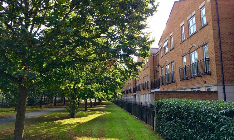 Flat Paxton in Harry Stoke
