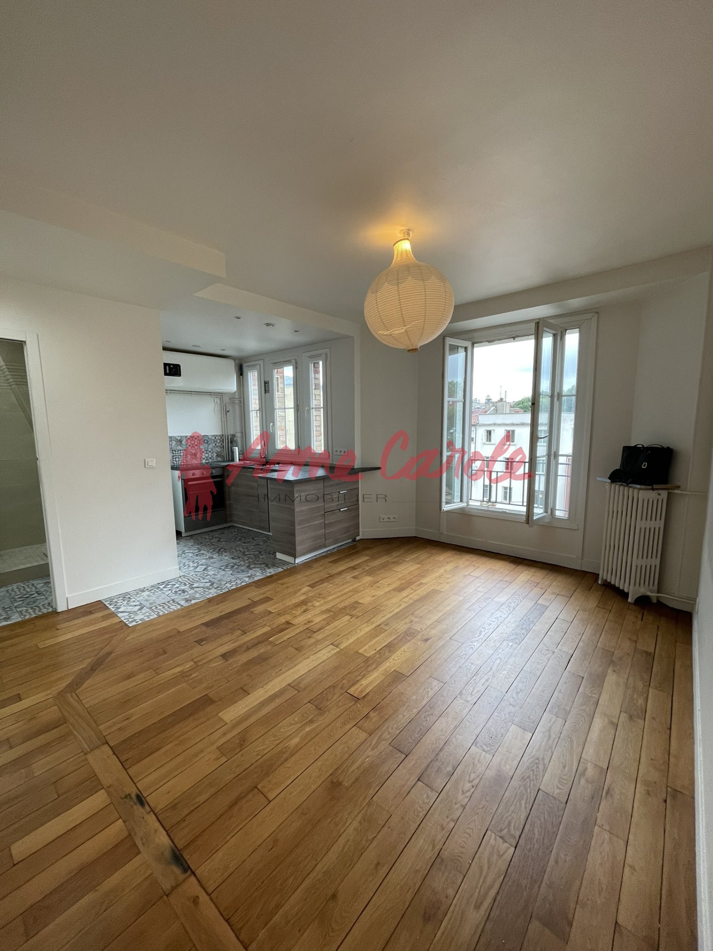 Flat Rue Adolphe Mille in Paris