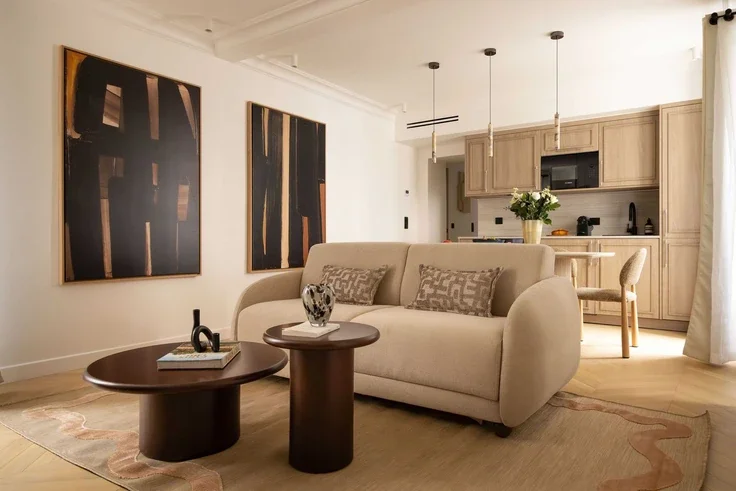 Flat Rue de Seine in Paris