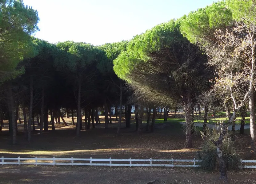 Appartement Avenue du Golf à La Grande-Motte