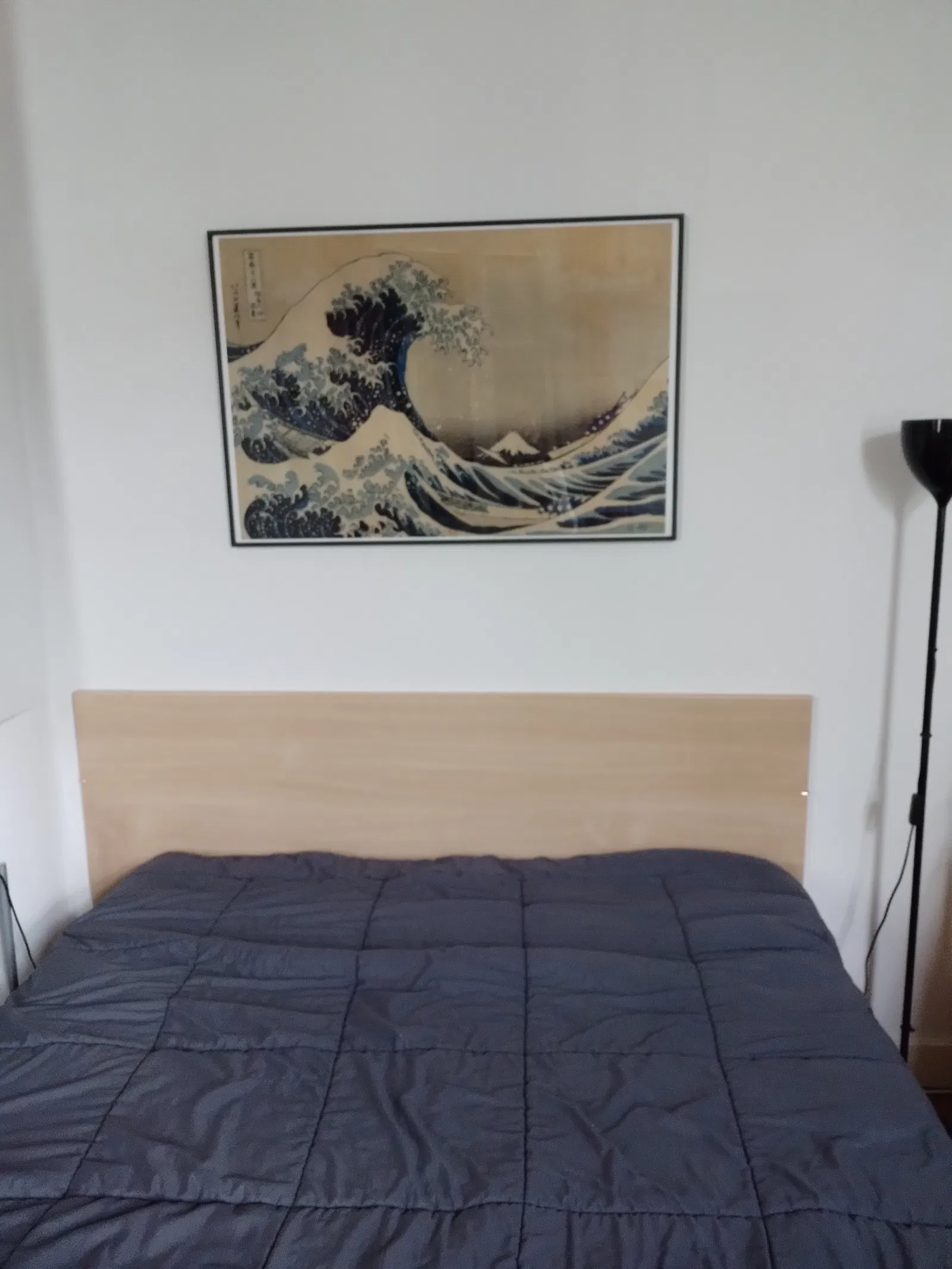 Chambre Allée de la Loire à Tours
