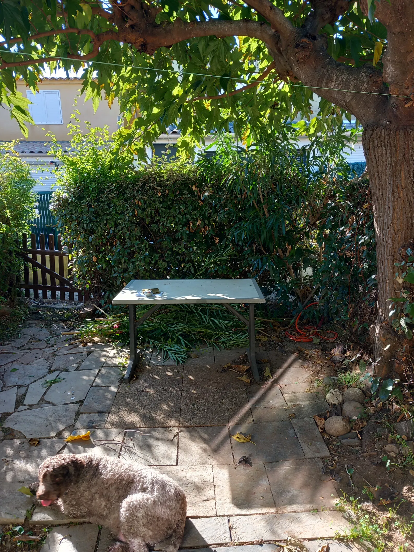 House Strada di I Querci in Poggio-Mezzana
