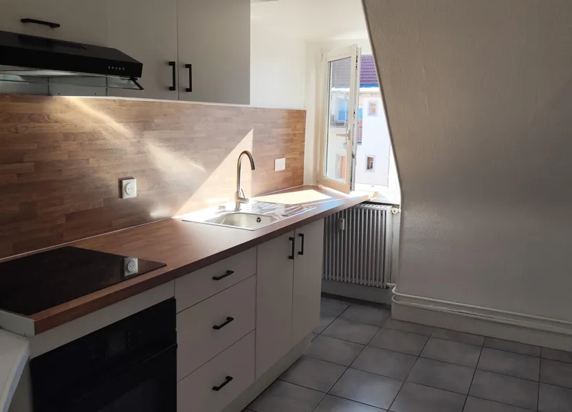 Flat Rue des Petites Fermes in Strasbourg