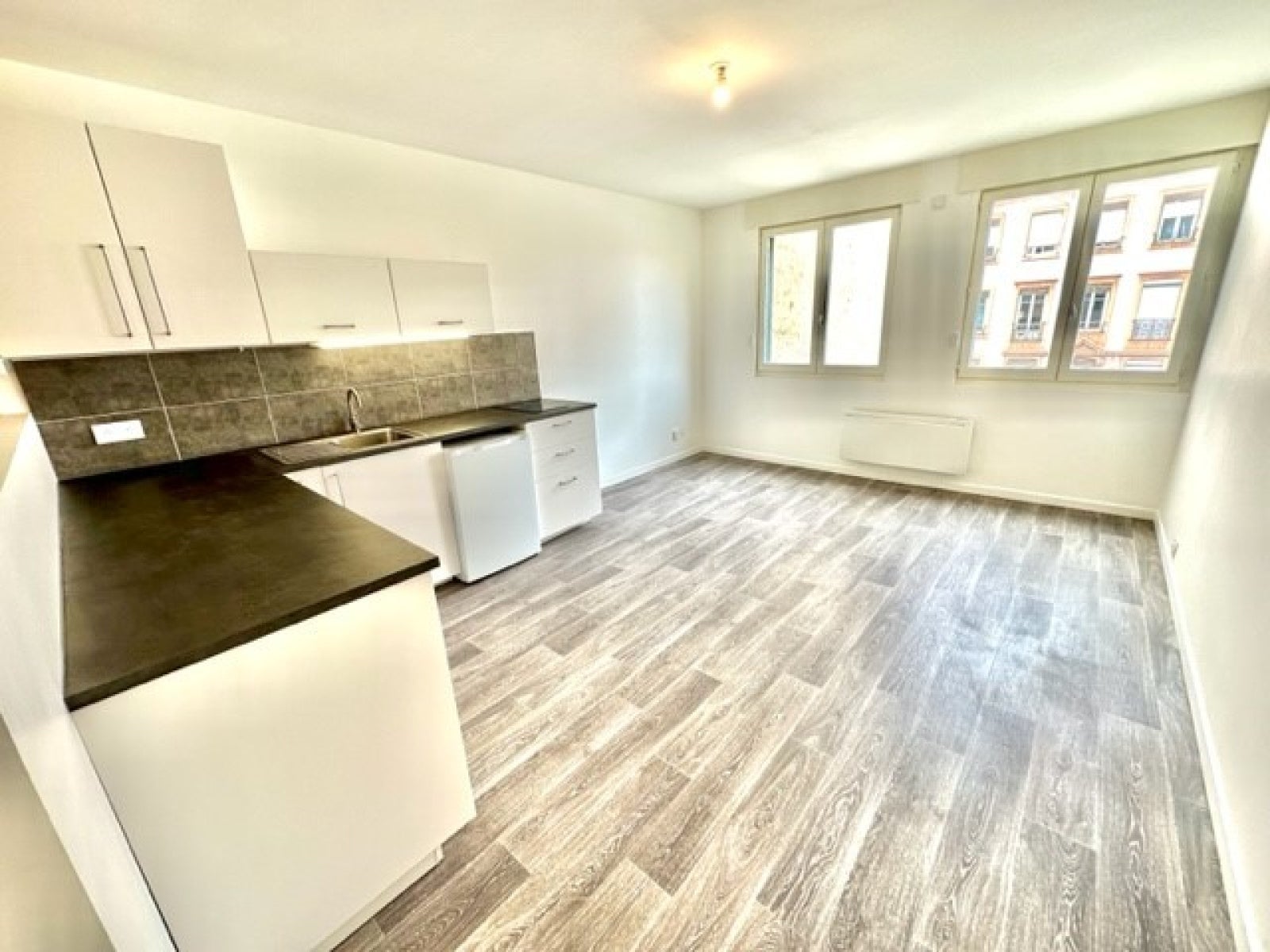 Appartement Avenue Paul Krüger à Villeurbanne