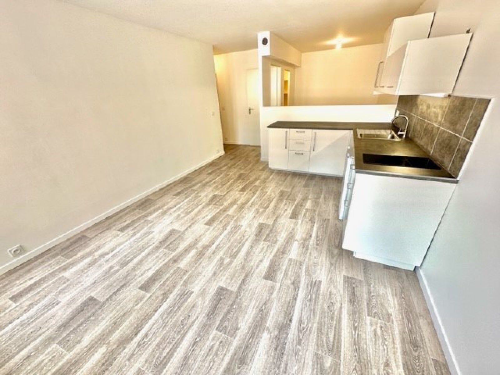 Appartement Avenue Paul Krüger à Villeurbanne