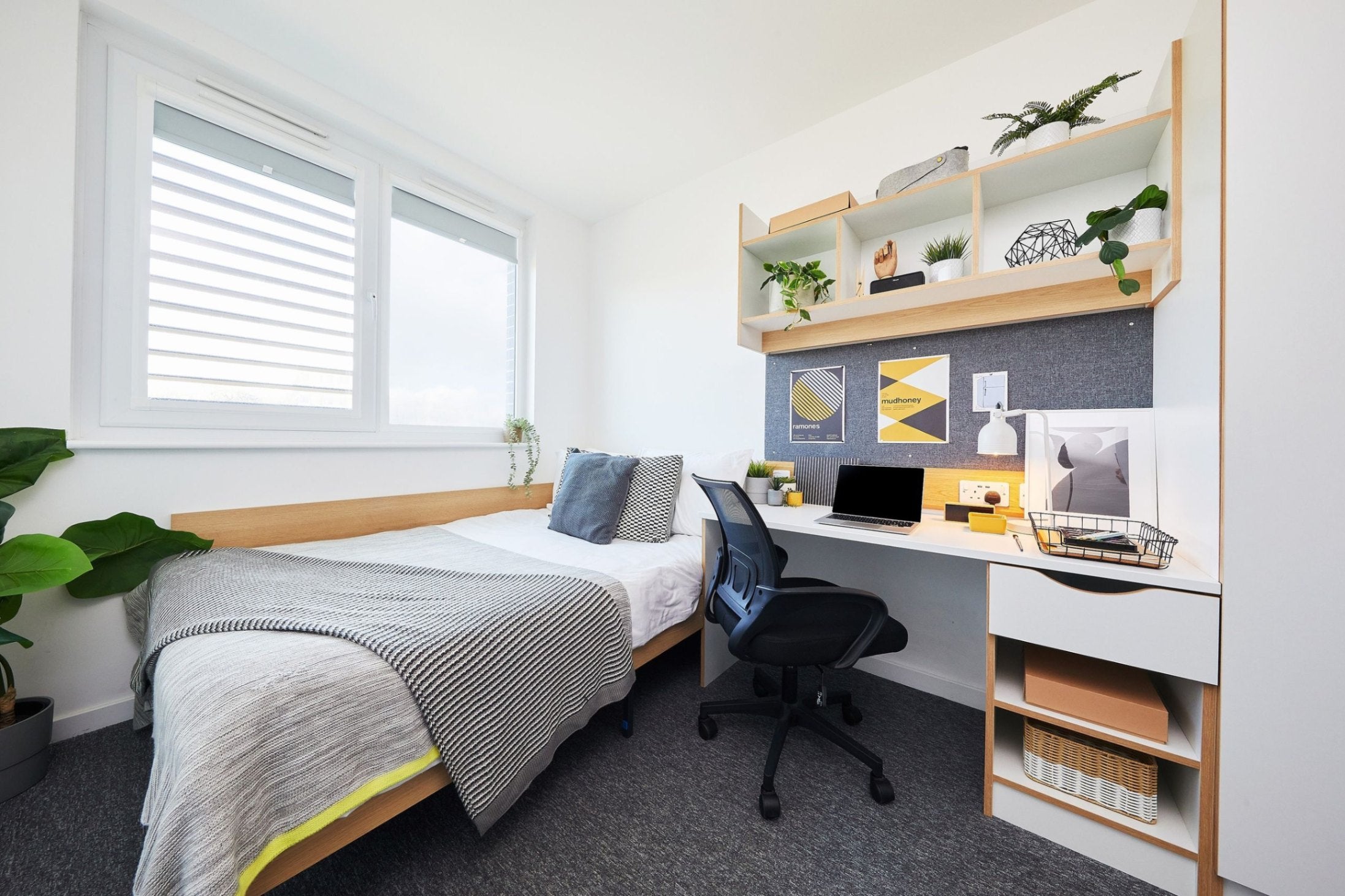 Room Capon Road in Colchester
