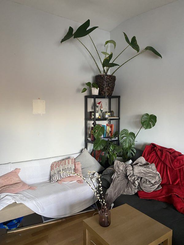 Room Maynards Quay in Greater London