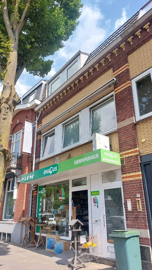 Appartement Emmasingel 11 A in Weert