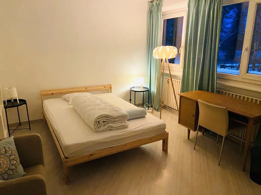 Room Rue de Meyrin in Ferney-Voltaire
