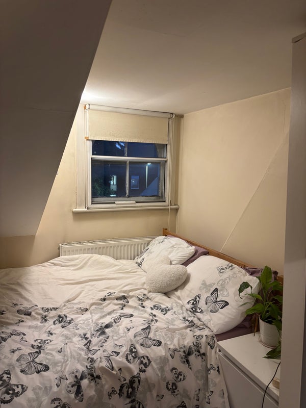 Room Falcon Grove in Greater London