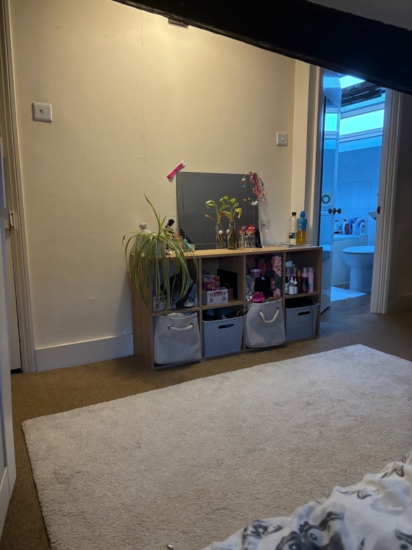 Room Falcon Grove in Greater London
