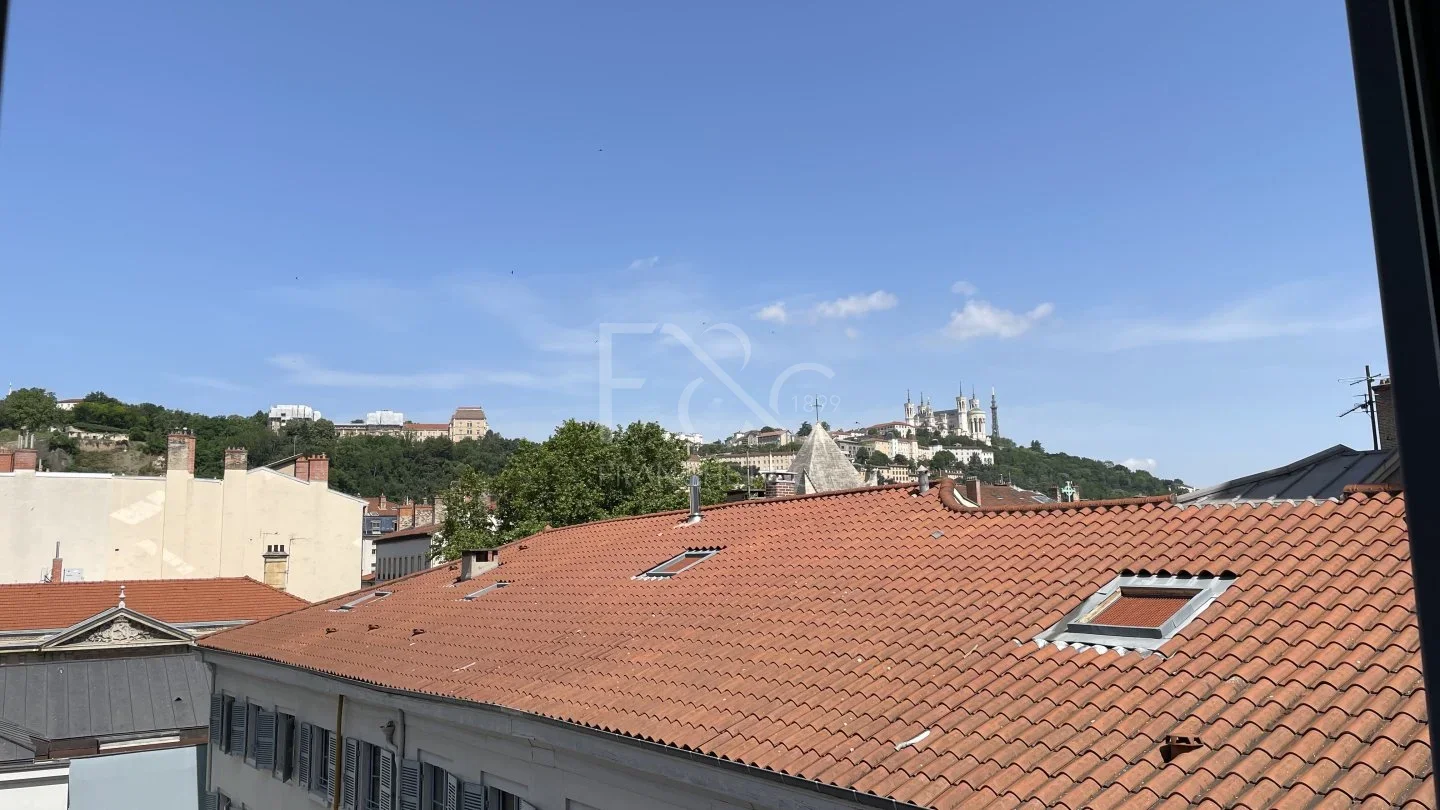 Appartement Rue Bourgelat à Lyon