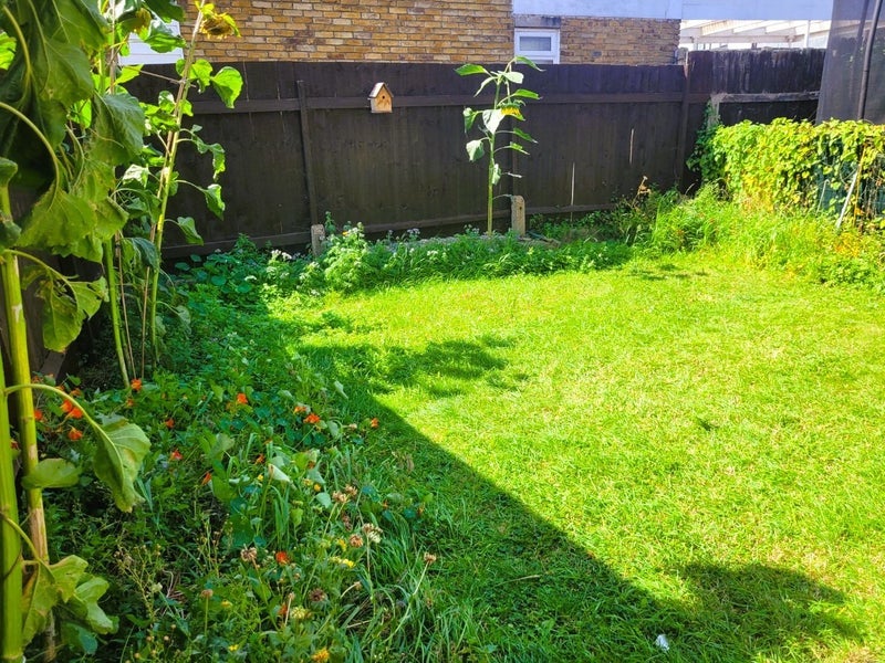 Room Higham Place in Greater London