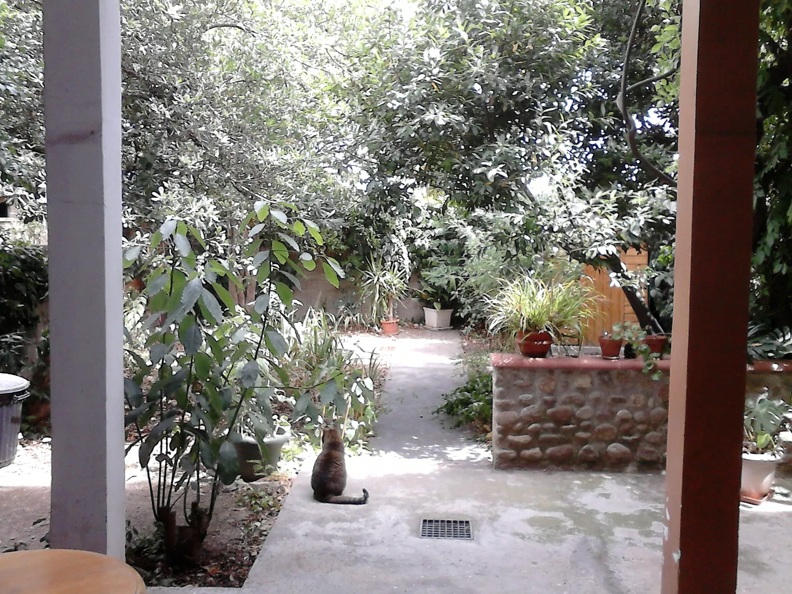 Chambre Avenue Jean Mermoz à Perpignan