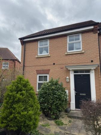 Flat Hornbeam Drive in Grimsby