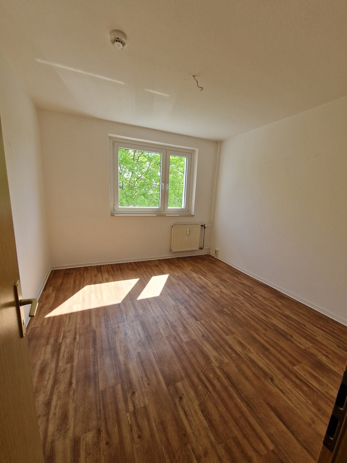 Wohnung Bernhard-Kellermann-Straße in Magdeburg
