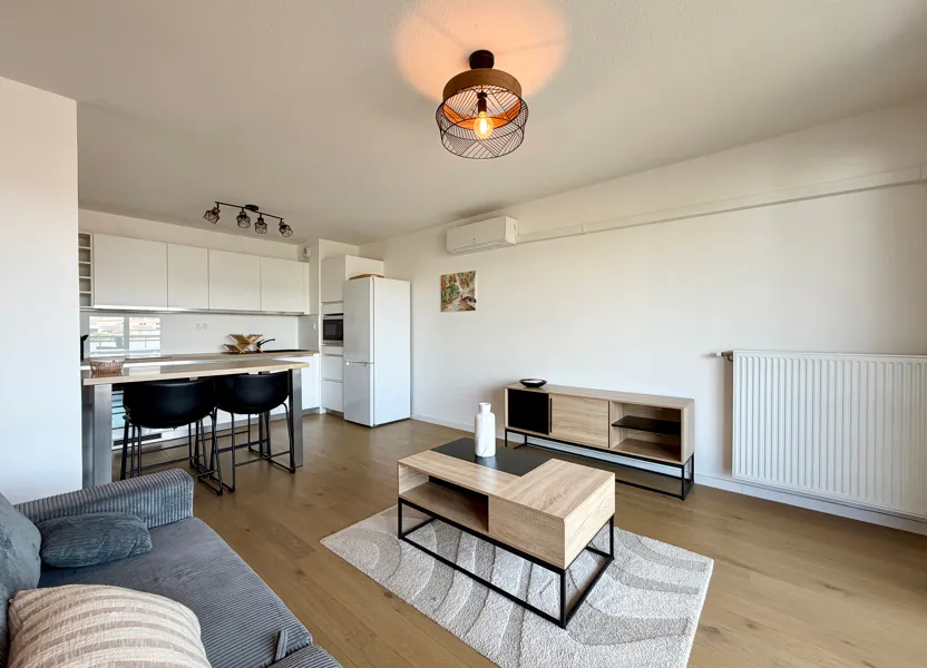 Appartement Rue Jacques Lemercier à Toulouse