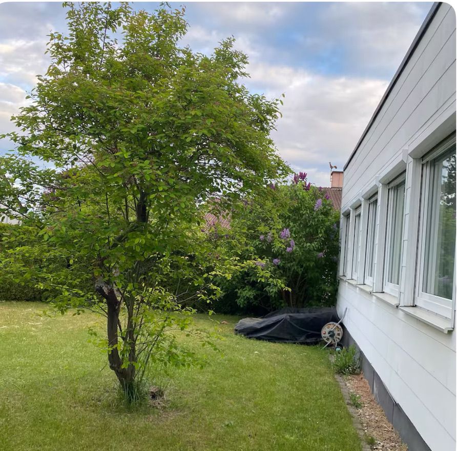 Wohnung Mähringer Weg in Ulm