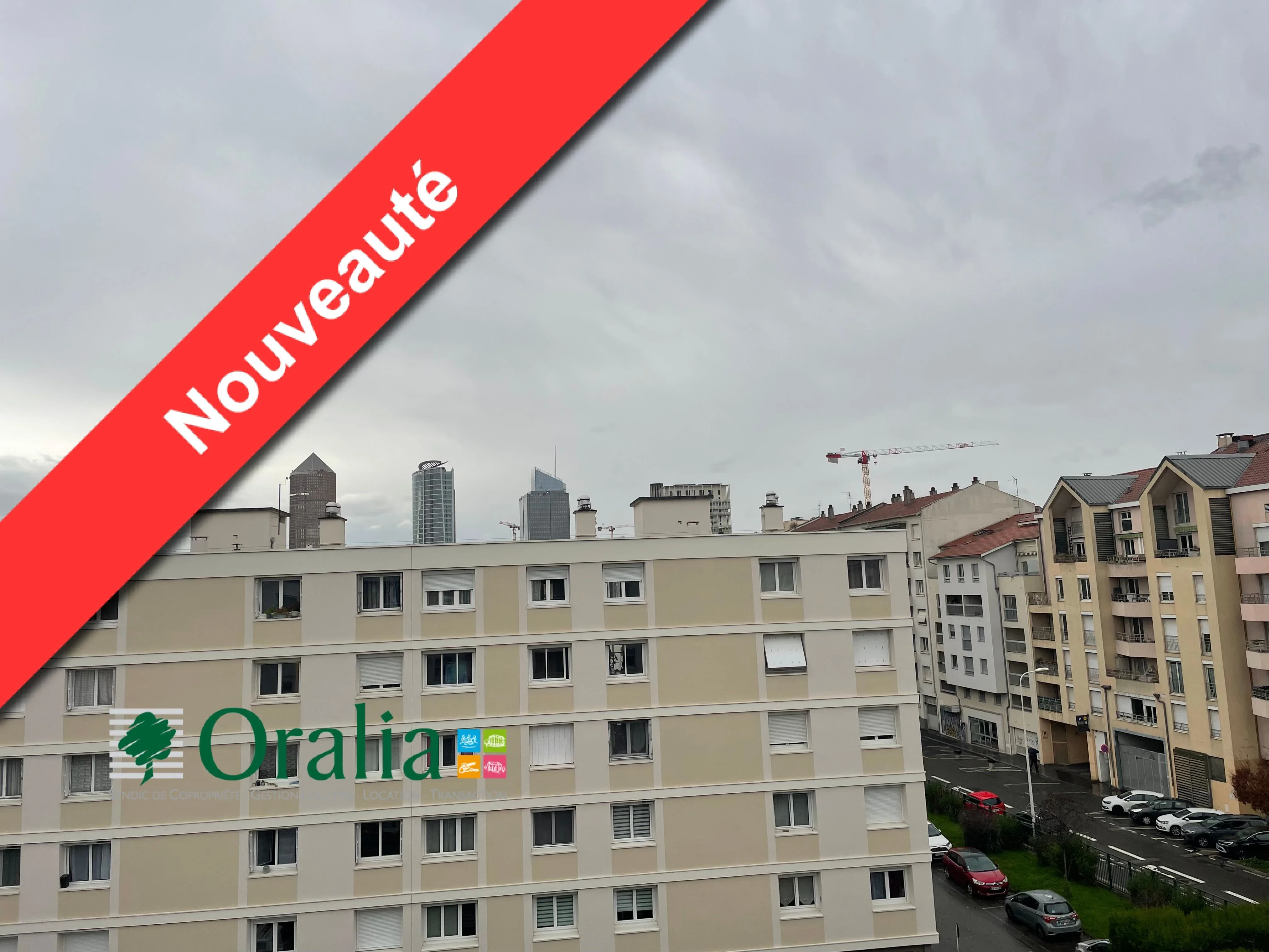 Flat Rue Étienne Richerand in Lyon