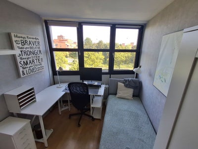 Wohnung Celsiusstraße in Bonn