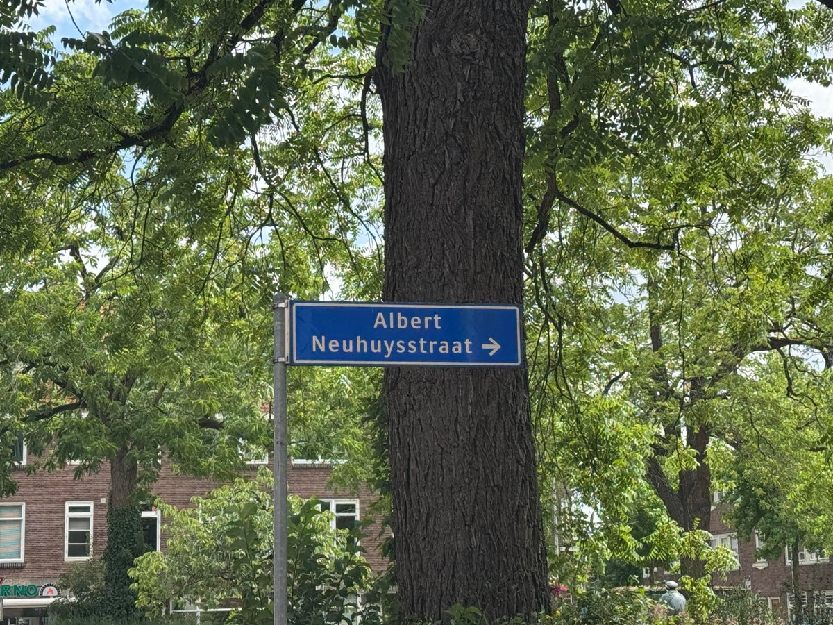 Huis Albert Neuhuysstraat 30