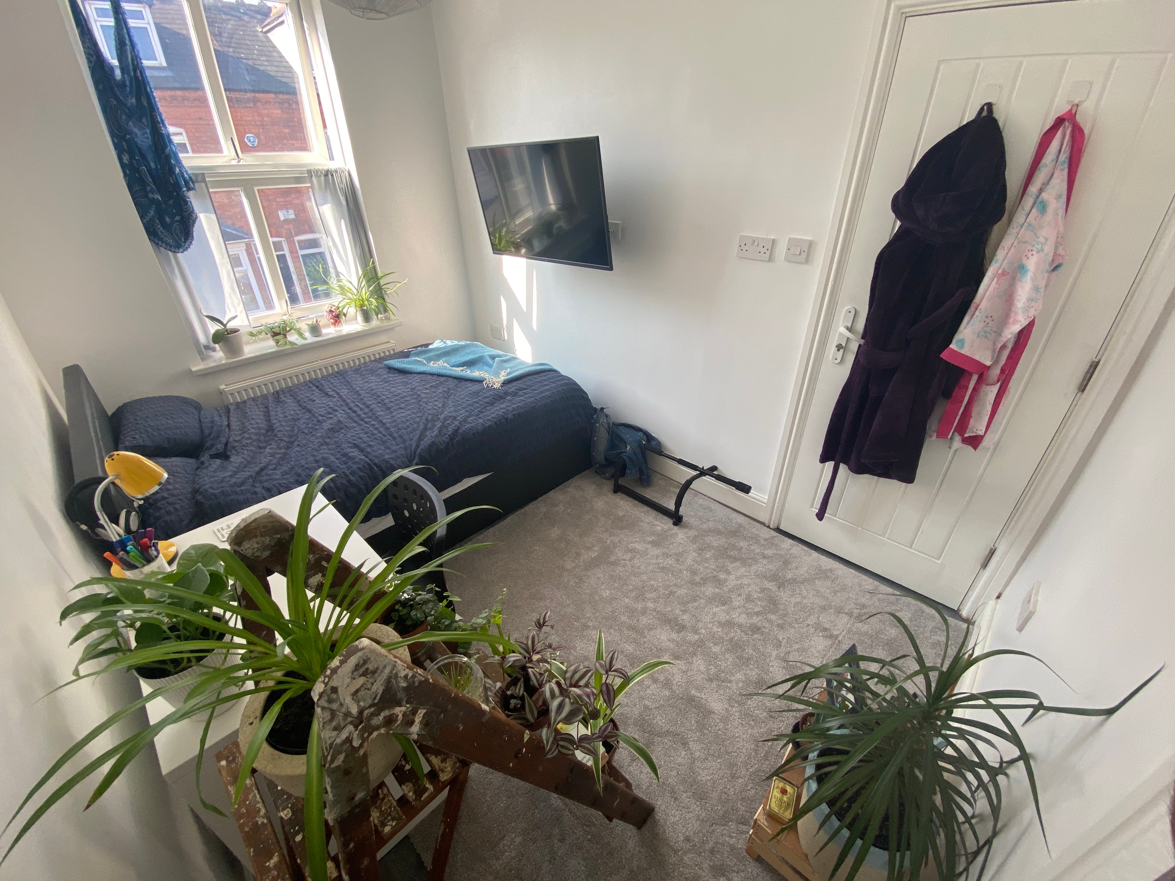 Flat Daisy Road in Birmingham
