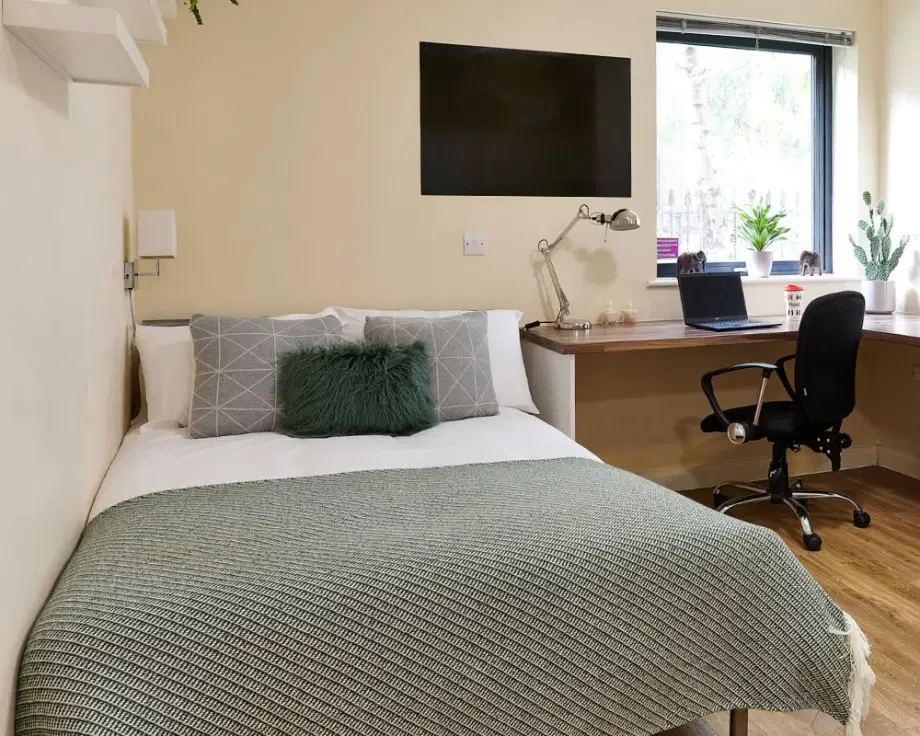 Room South Lambeth Road in Greater London