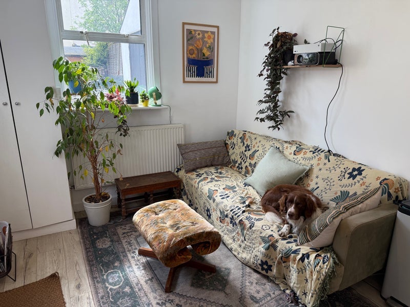 Flat Glenarm Road in Greater London