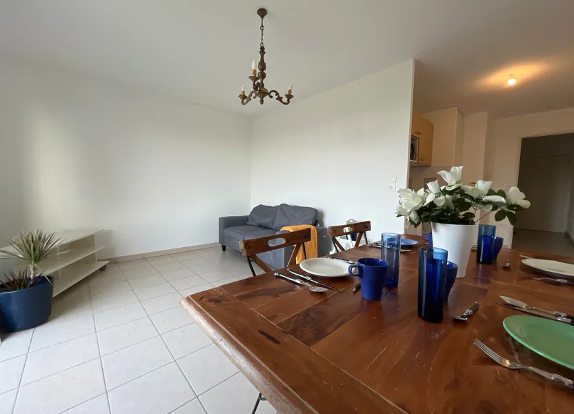 Appartement Chemin du Ramelet Moundi à Tournefeuille