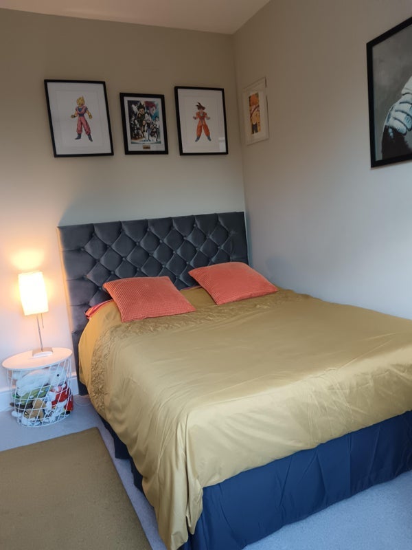 Room Castle Road in Greater London