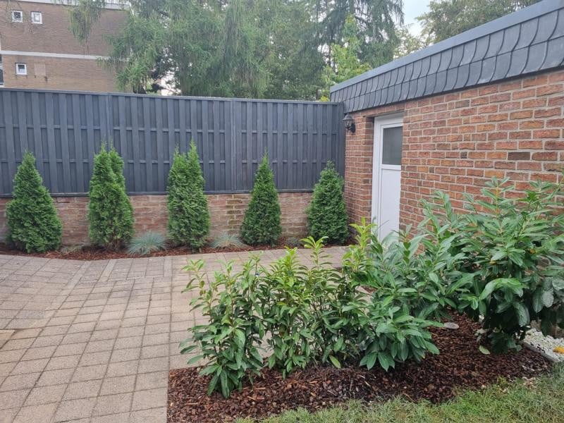 Wohnung Pfeilstraße in Mönchengladbach