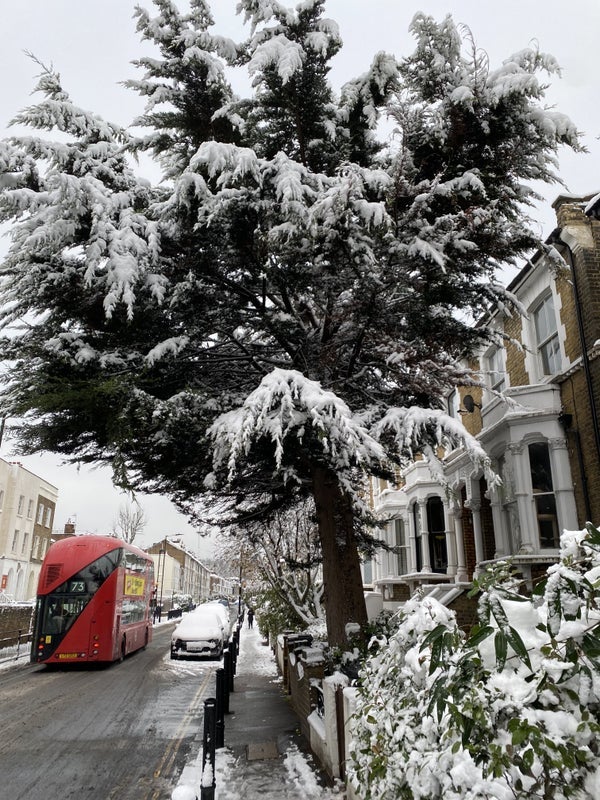 Flat Albion Road in Greater London