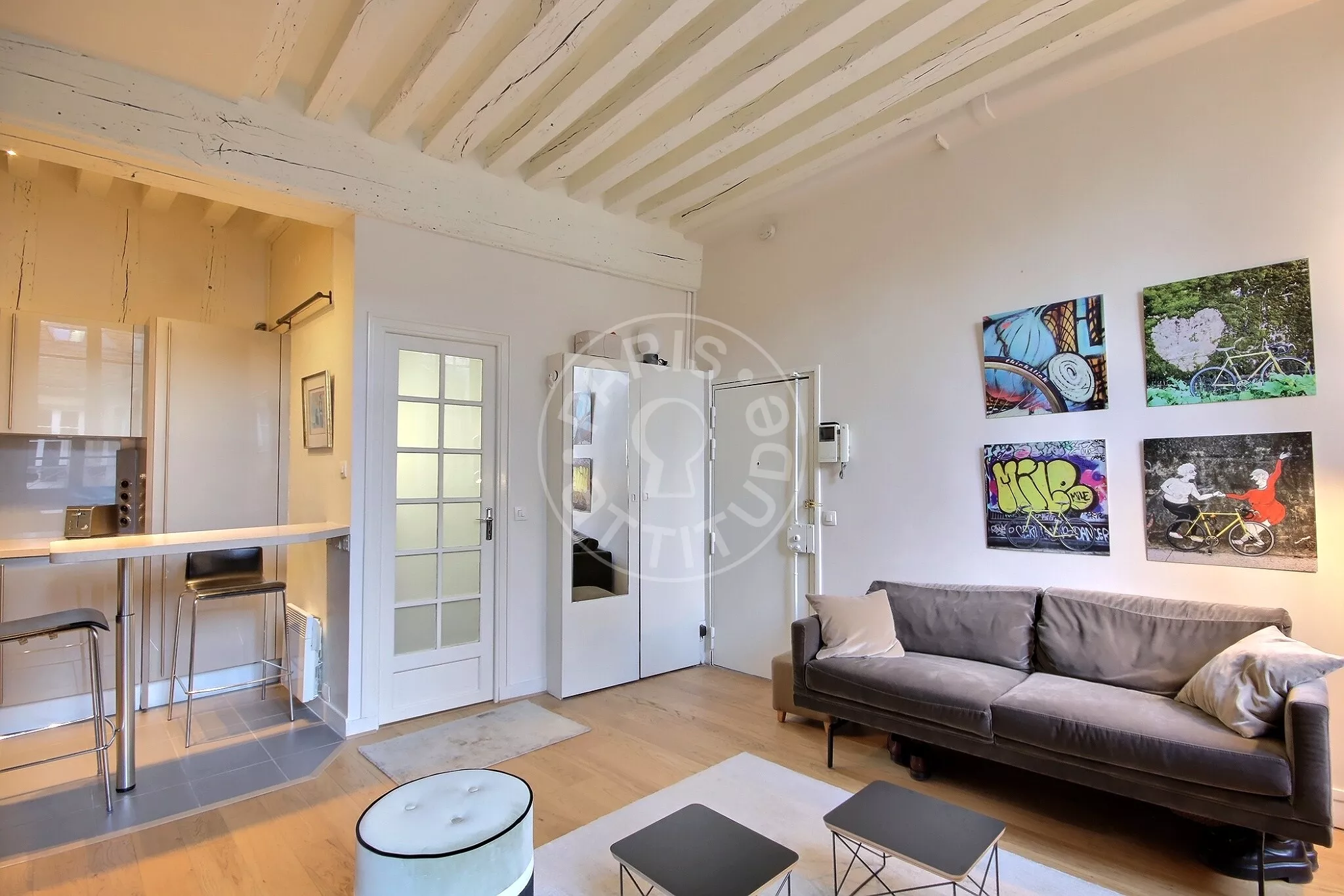 Flat Rue Saint-Séverin in Paris