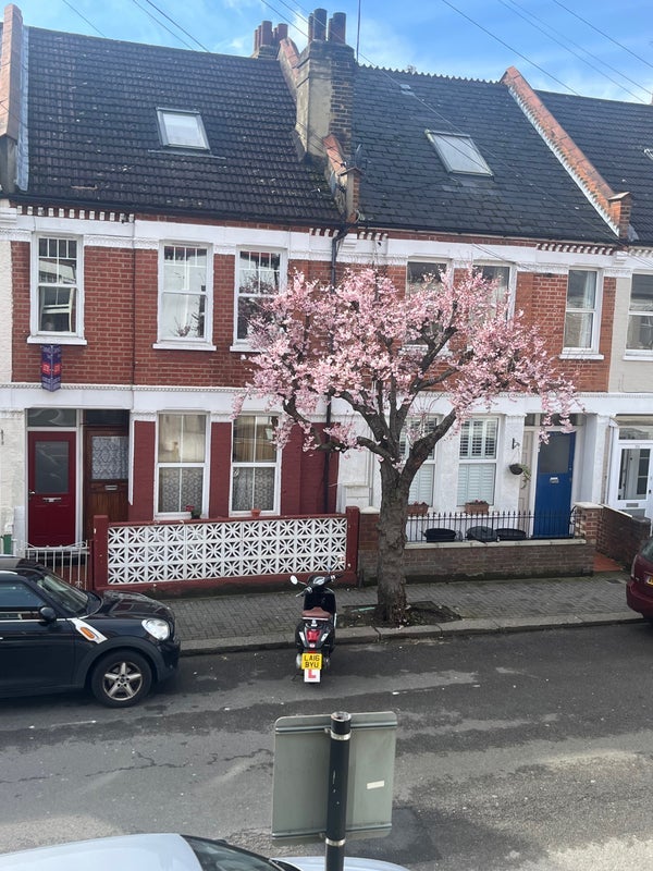 Room Coverton Road in Greater London