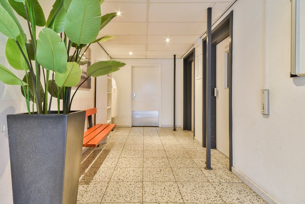 Appartement Professor Van der Scheerstraat 203 in Haarlem