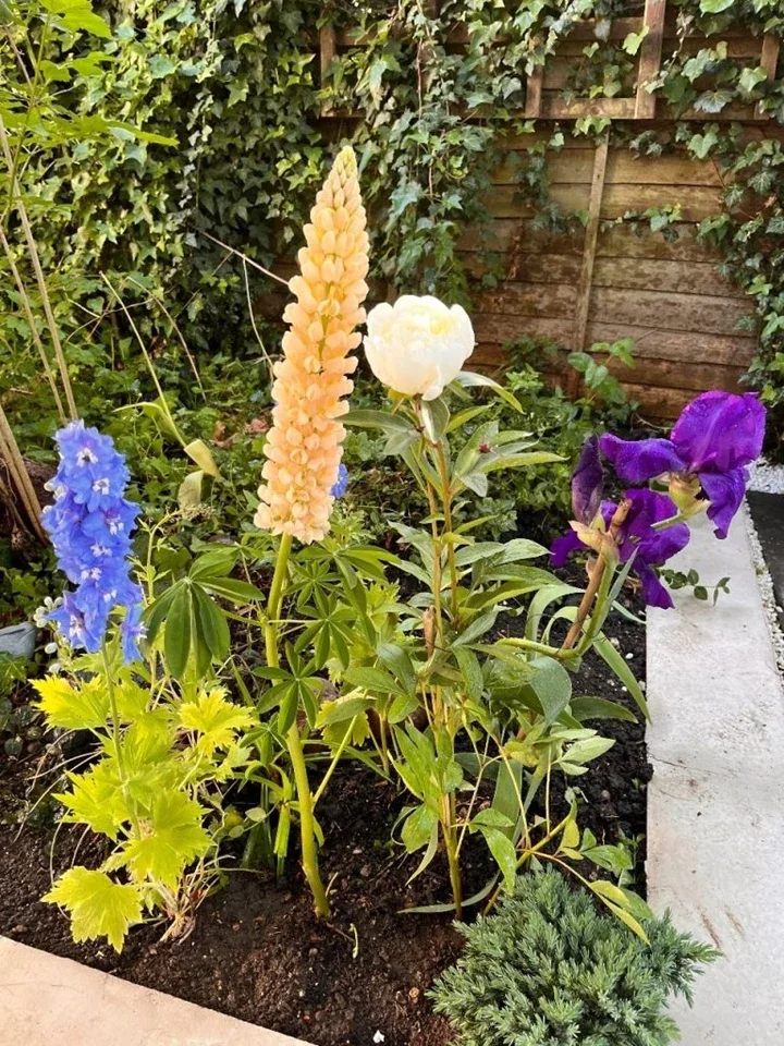 Flat Ravenstone Road in Greater London