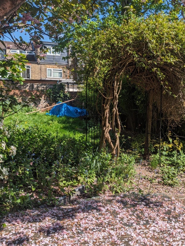 Room Upper Clapton Road in Greater London