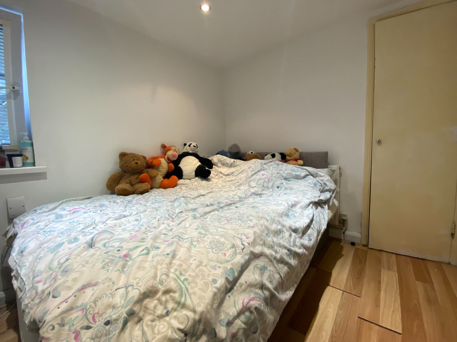 Flat Claude Road in Cardiff
