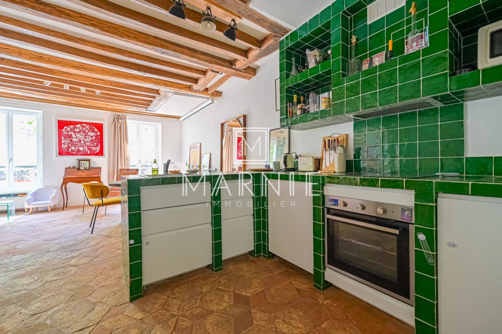 Flat Rue Vercingétorix in Paris