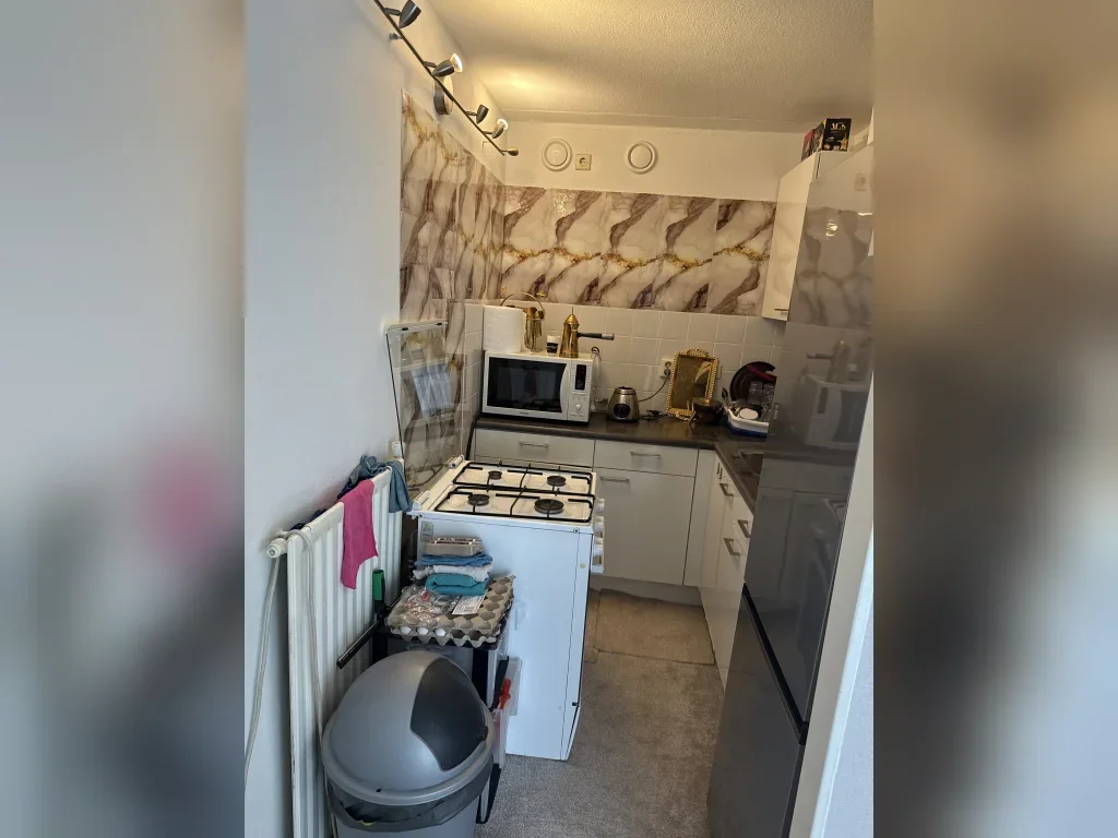 Appartement Zuylesteinstraat 3