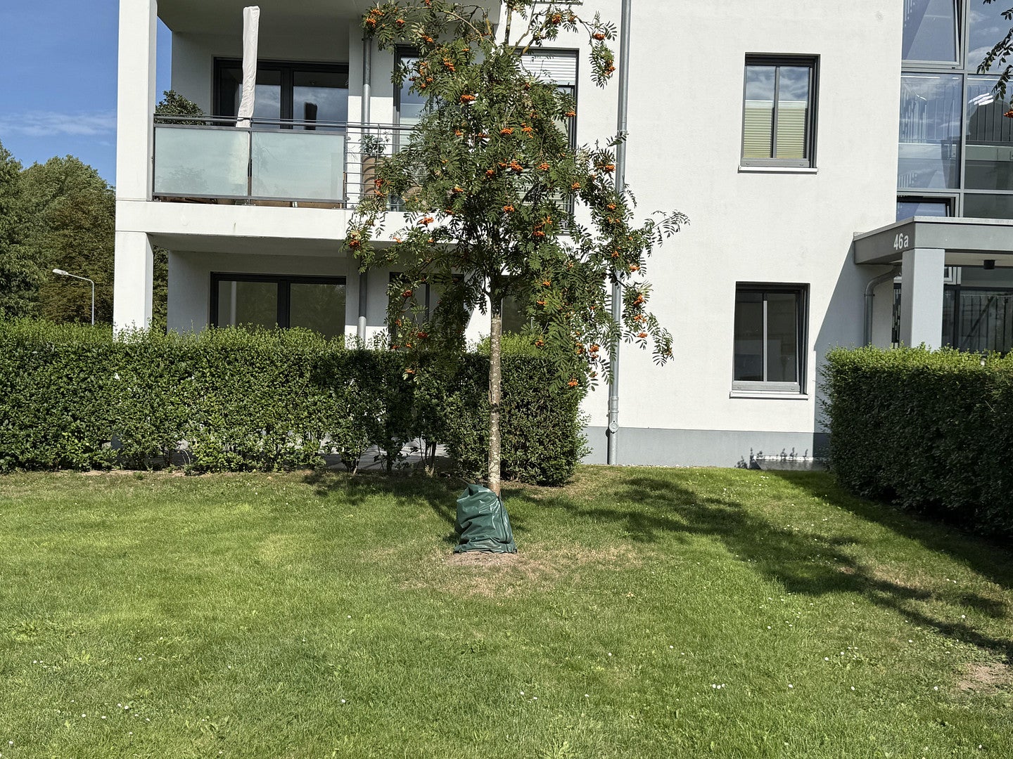 Wohnung Parkstraße in Rostock