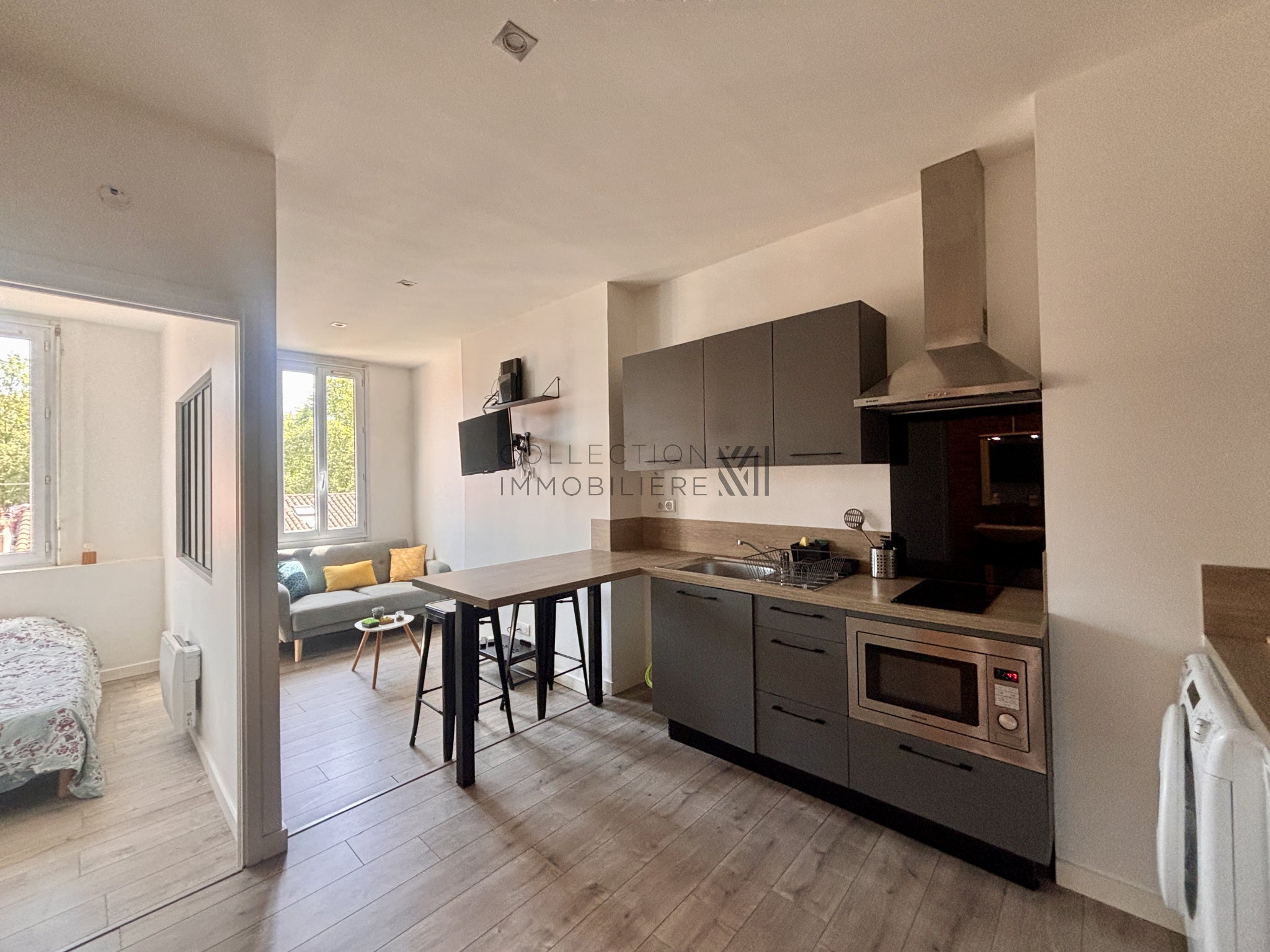 Appartement Quai de Tounis à Toulouse
