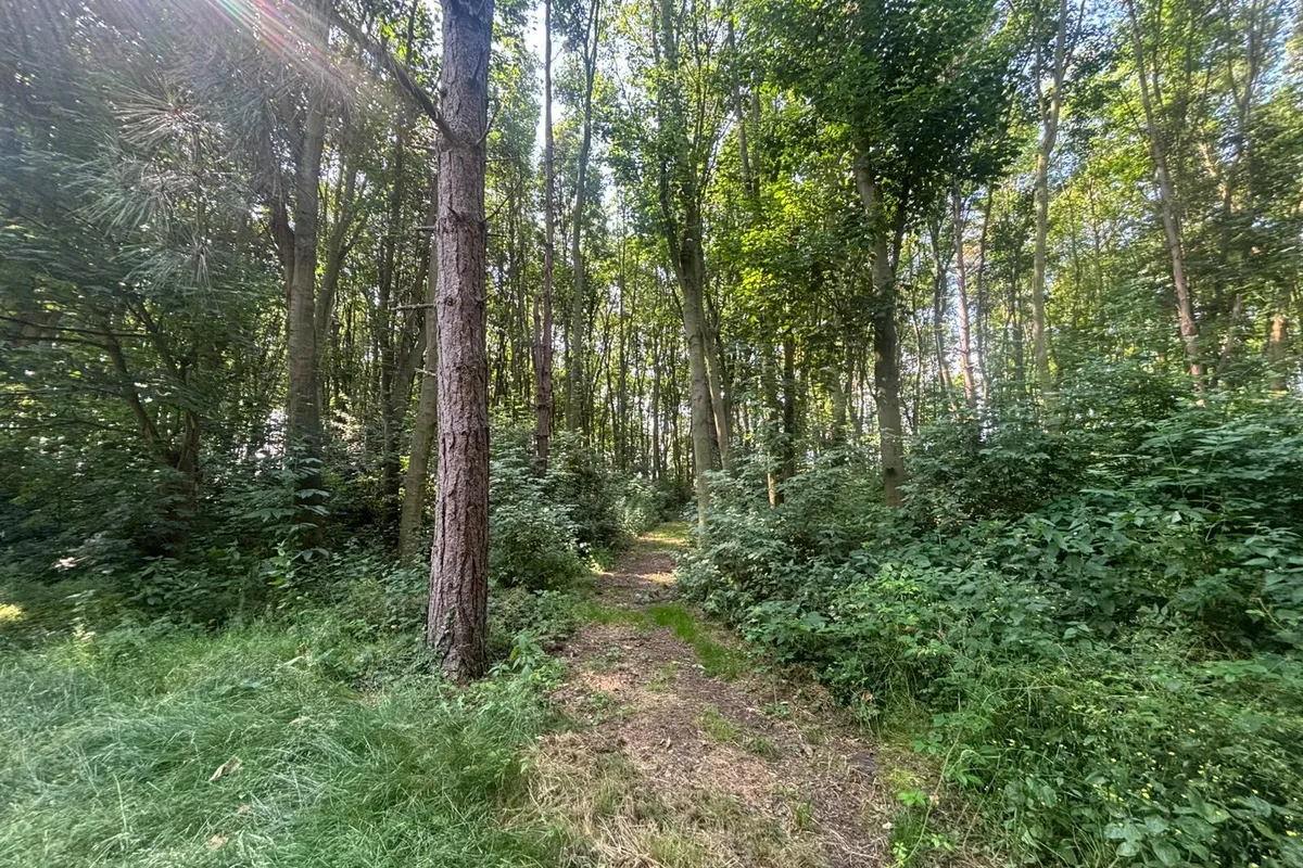 Flat Church Lane in Bassetlaw