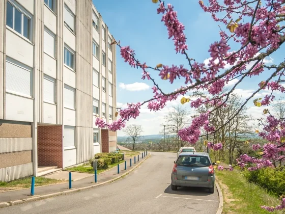 Appartement Rue Berthelot à Le Creusot
