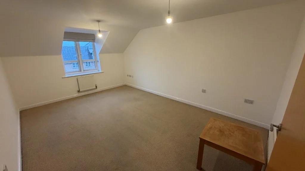 Flat Cotton End in Buckingham